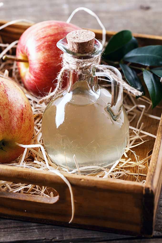 Jablečný Ocet a Bylinky: Prodloužení Skladování Čerstvých Bylin